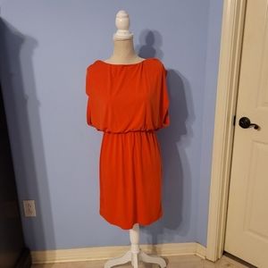 Enfocus Studio Size 6 Womens Dress